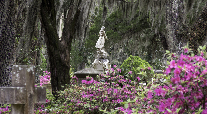 Bonaventure Cemetery