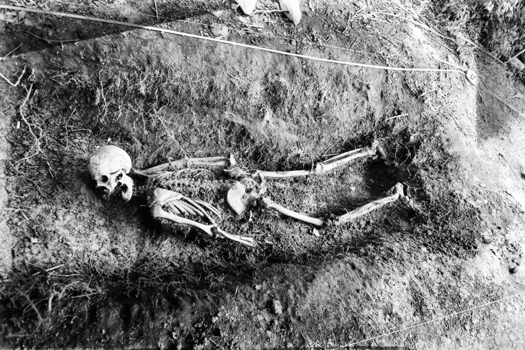 Body Farms & Human Decomposition Studies: The Science Behind Decay