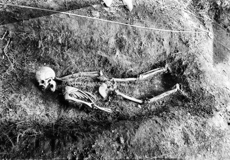 Body Farms & Human Decomposition Studies: The Science Behind Decay