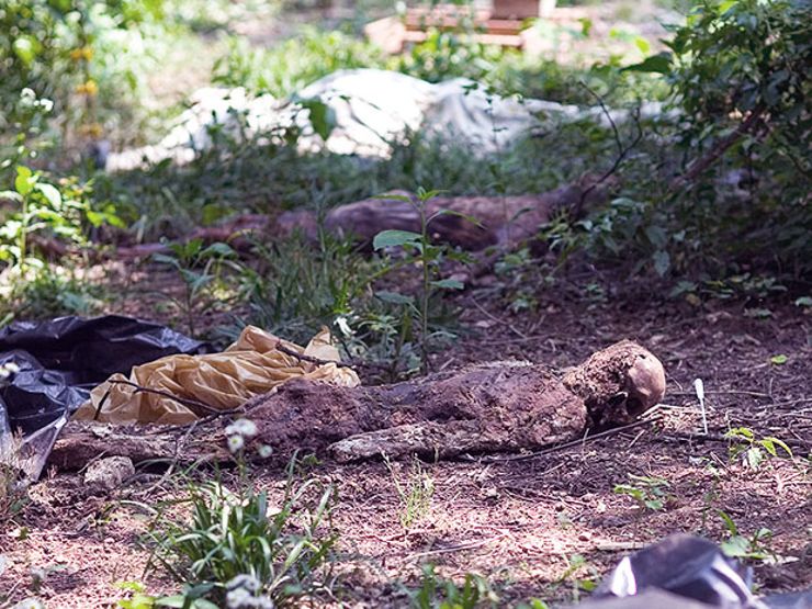 Decaying body at a body farm