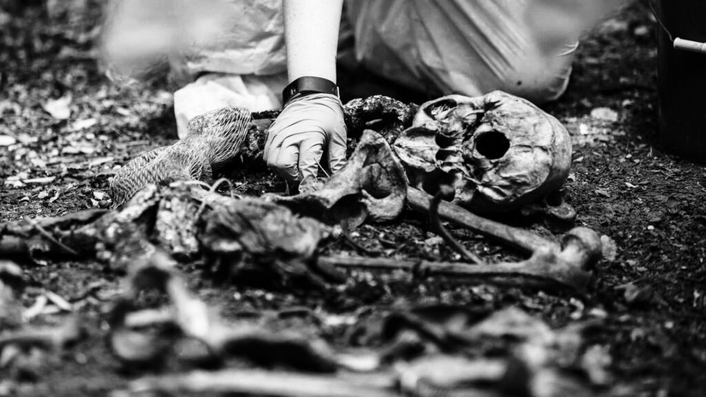 Forensic Anthropology in Cemeteries: What Bones Can Tell Us