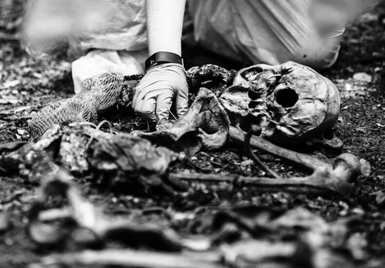 Forensic Anthropology in Cemeteries: What Bones Can Tell Us