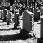 Why Do We Need Cemeteries