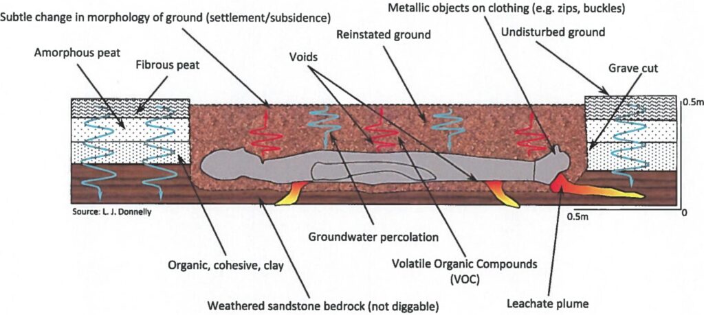 Theoretical geological model for a grave imaged by GPR