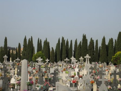 Cypress Trees in a Graveyard