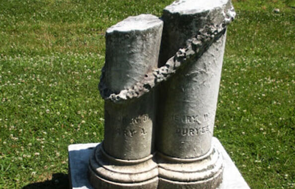 Broken Columns and Cut Trees