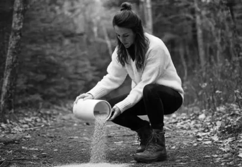 Cremation Ashes and the Environment: Myths and Facts