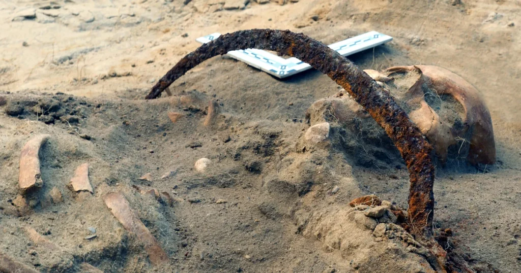 The skeleton of Zosia, a woman buried as a vampire, lies in a grave in Pien, Poland, August 2022.
Nicolaus Copernicus University